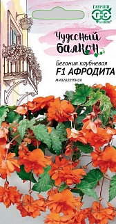 Бегония клубневая Афродита F1, ампельная, 5шт. Чудесный балкон.
