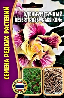 Адениум Raksikon DESERT ROSE, 3шт.