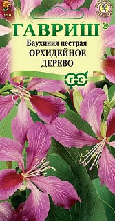 Баухиния пестрая Орхидейное Дерево, 3 шт.