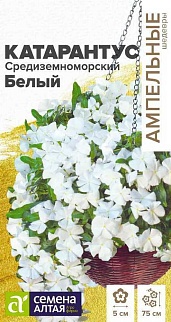 Катарантус Белый  7 шт. Ампельные Шедевры.