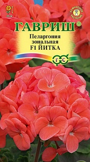 Пеларгония зональная Йитка F1, 4 шт.
