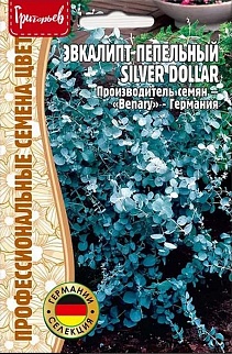 Эвкалипт пепельный Silver Dollar, 5 шт.