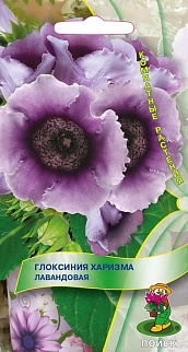 Глоксиния Харизма Лавандовая, 5 шт. Комнатные растения