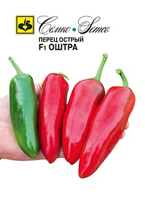 Перец острый Оштра F1, 5 шт.