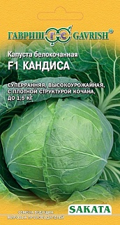 Капуста белокочанная Кандиса F1, 20 шт. Саката.