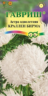 Астра коготковая Краллен Бирма кремовая, однолетняя, 0,3 г 