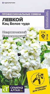 Левкой махровый Кац Белое чудо, 8 шт.