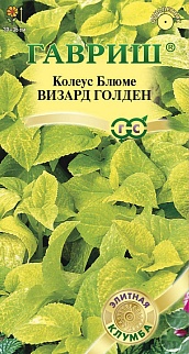 Колеус Визард Голден, 5 шт. Элитная клумба. 
