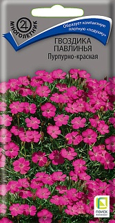 Гвоздика Павлинья Пурпурно-красная, 0,05 г