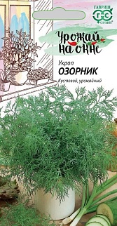 Укроп Озорник, 2 г. Урожай на окне.