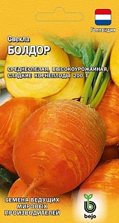 Свекла Болдор, 1 г. Голландия.