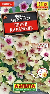 Флокс друммонда Черри карамель, 20 шт.