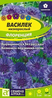 Василек низкорослый Флоренция, 0,2 г.