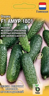 Огурец Амур 1801 F1, 5 шт. Голландия.