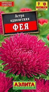 Астра Фея, шаровидно-игольчатая 0,2 г