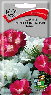 Годеция крупноцветковая Богема, 0,2 г