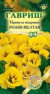 Примула махровая Роззи желтая, 3 шт. Элитная клумба.