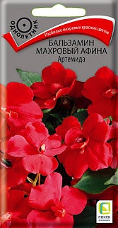 Бальзамин махровый Афина Артемида, 5 шт.