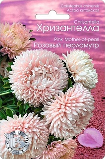 Астра китайская Хризантелла Розовый перламутр, 30 шт. Биотехника