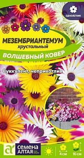 Мезембриантемум Волшебный ковер 0,1 