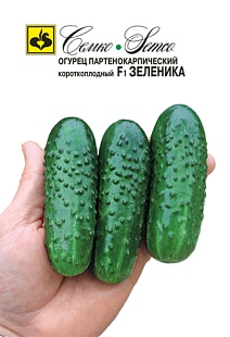 Огурец Зеленика F1, 5 шт.
