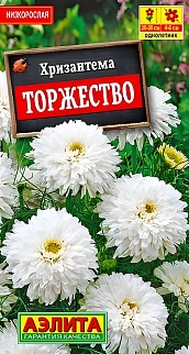 Хризантема букетная Торжество, 0,1 г