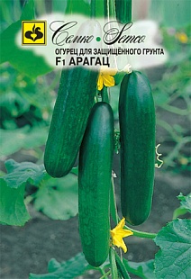 Огурец Арагац F1, 10 шт.
