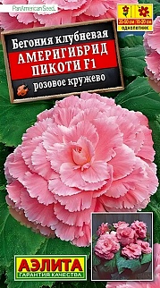 Бегония Америгибрид Пикоти F1 розовое кружево, 5 шт.