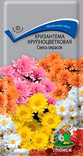 Хризантема крупноцветковая смесь окрасок, 0,05 г