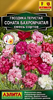 Гвоздика Соната бахромчатая, смесь сортов 0,1 г