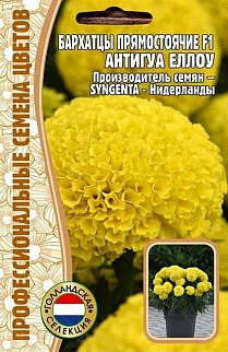 Бархатцы прямостоячие Antigua Yellow F1, 5 шт.