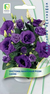 Эустома махровая Рози Синяя, 5 шт.